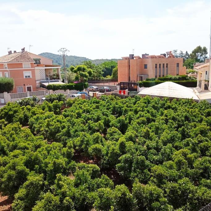 Piso Sierra Calderona A 15 Minutos Del Mar Estivella Appartement Buitenkant foto